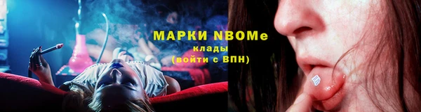 мдпв Гусь-Хрустальный