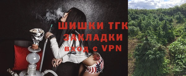мдпв Гусь-Хрустальный