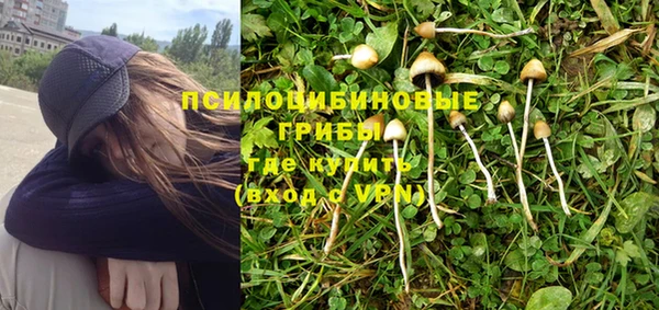 первитин Снежинск