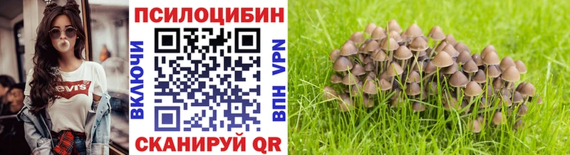 Галлюциногенные грибы Cubensis где купить Обоянь